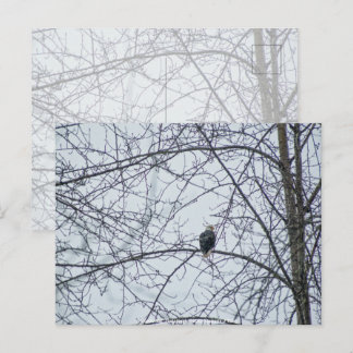 Monitoring Postcard