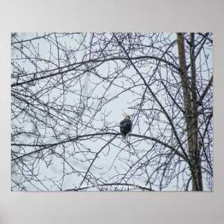 Monitoring Poster