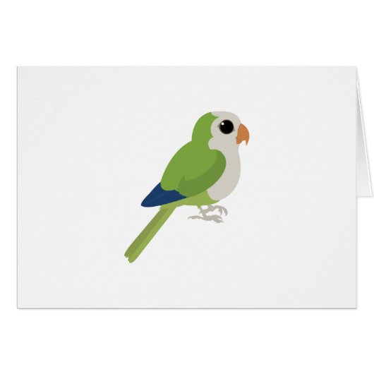Monk Parakeet Cards (Front Horizontal)