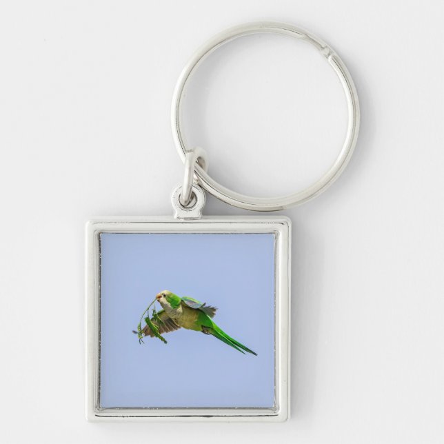 Monk Parakeet in the Rio Grande Valley Keychain (Front)