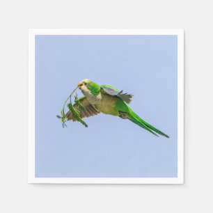 Monk Parakeet in the Rio Grande Valley Napkins