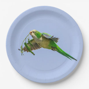 Monk Parakeet in the Rio Grande Valley Paper Plates