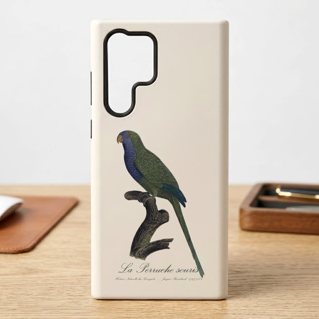 Monk Parakeet or Monk Parrot, Myiopsitta Monachus Samsung Galaxy Case (Monk Parakeet or Monk Parrot, Myiopsitta Monachus. Case)