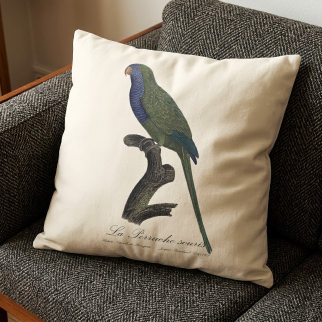 Monk Parakeet or Monk Parrot, Myiopsitta Monachus Throw Pillow (Monk Parakeet or Monk Parrot, Myiopsitta Monachus. Throw Pillow)