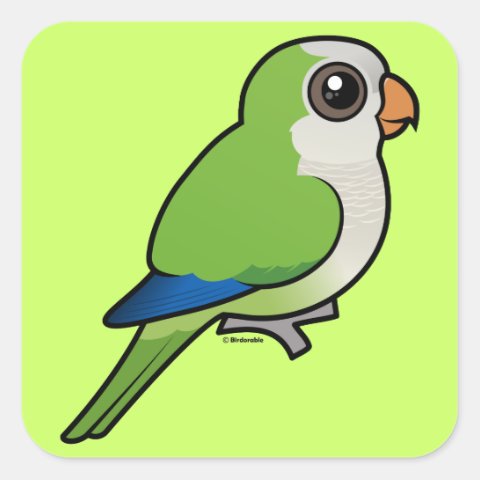 Cute Birdorable Monk Parakeet Square Sticker