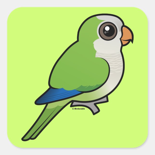 Monk Parakeet Square Sticker (Front)