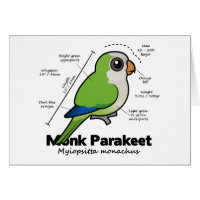 Monk Parakeet Statistics Greeting Card