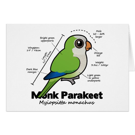 Monk Parakeet Statistics Cards (Front Horizontal)