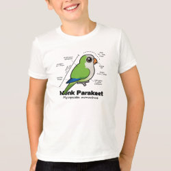 Monk Parakeet Statistics Women's Next Level Scoop Neck T-Shirt