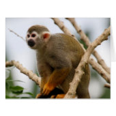 Monkey_2014_1201 Cards (Front Horizontal)