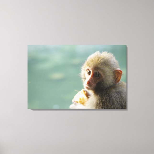 Monkey 3 canvas print (Front)