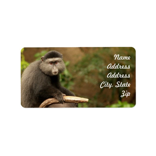 Monkey  Address Sticker (Front)