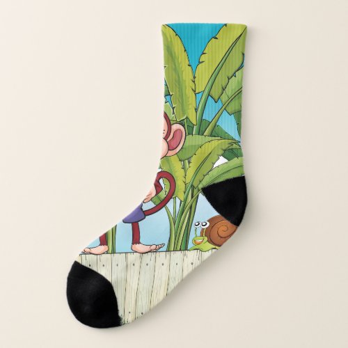 Monkey And A Snail Socks