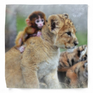 Monkey and Lion Cub/Bandana Bandana