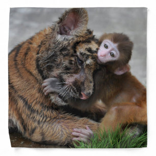 Monkey and Tiger Cub/Bandana Bandana