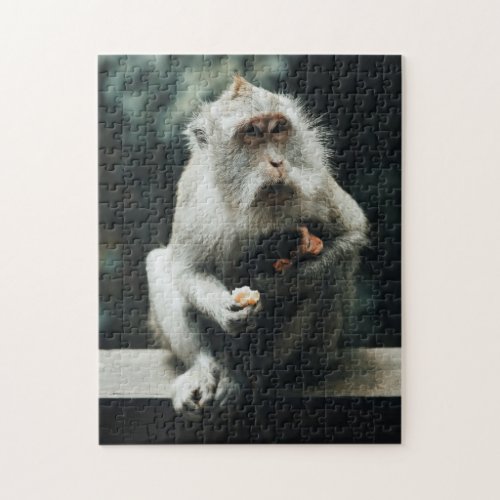 Monkey  Baby Jigsaw Puzzle