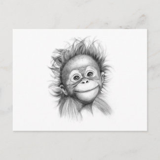 Monkey - Baby Orang outan 2016 G-121 Postcard