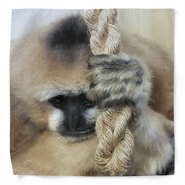 MONKEY BANDANA (Front)