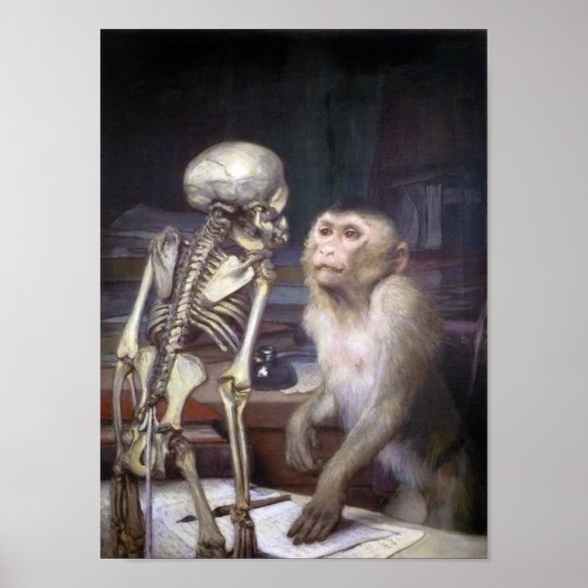 Monkey Before Skeleton Poster (Front)