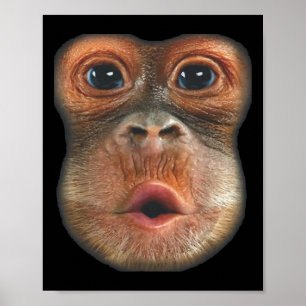 Monkey Blowing Stomach Face Poster