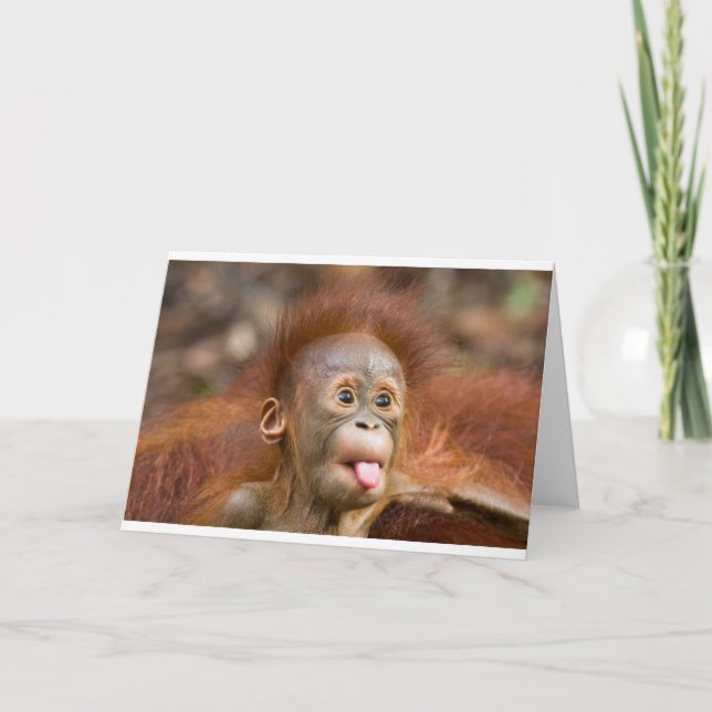 Monkey business 2 card (Front)