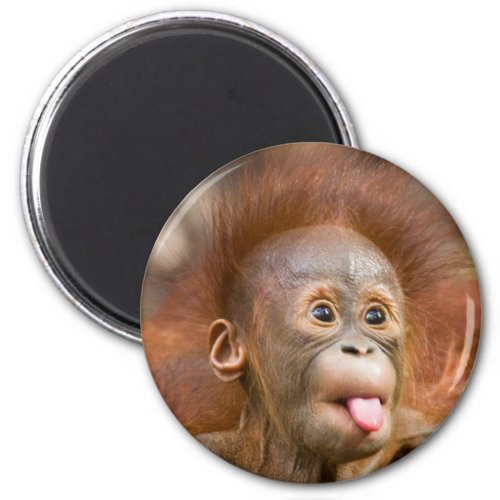 Monkey business 2 magnet