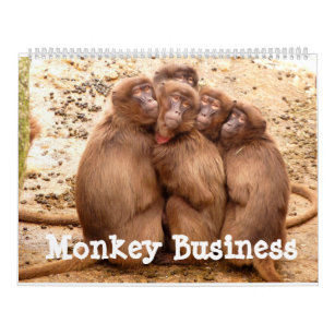 Postcard-Beach Great gifts for fun people at Monkey Business