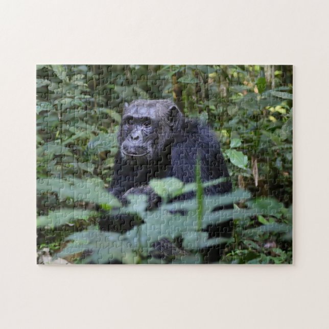 Monkey Business Jigsaw Puzzle (Horizontal)