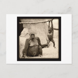 Monkey Business Postcard