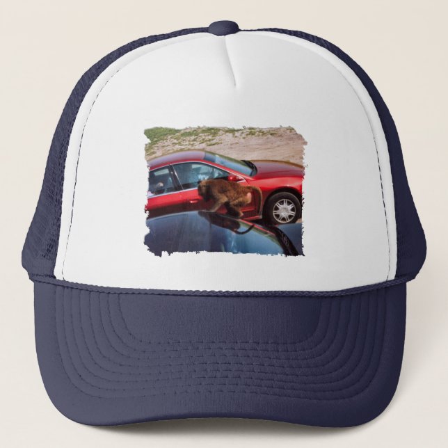 Monkey Business Trucker Hat (Front)