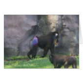 Monkey Butt (Front Horizontal)