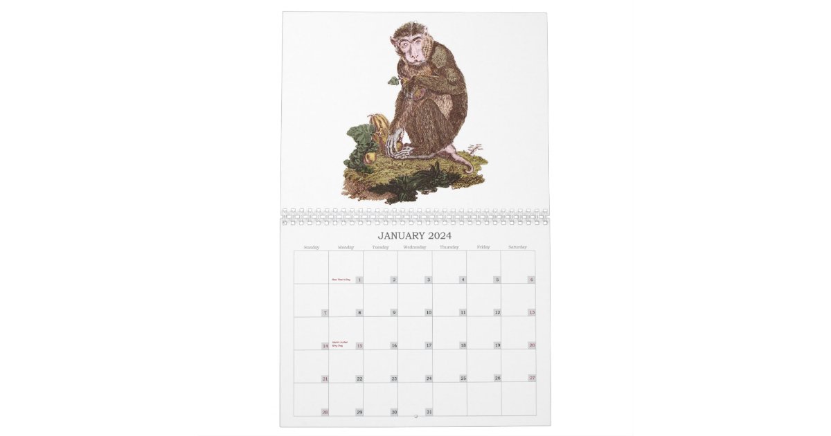 Monkey Calendar Zazzle