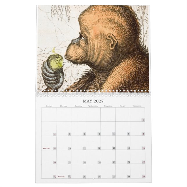 Monkey Calendar | Zazzle