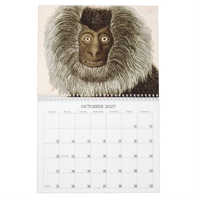 Monkey Calendar | Zazzle