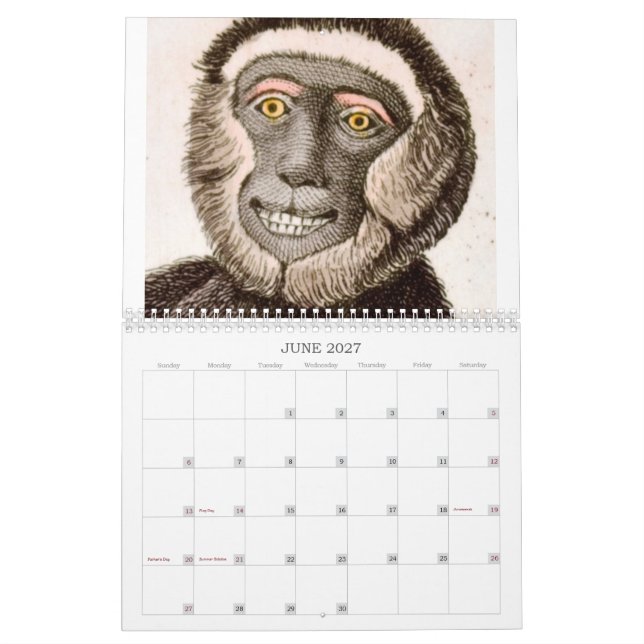 Monkey Calendar | Zazzle