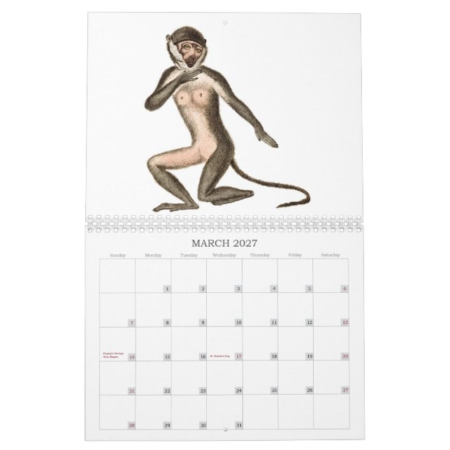 Monkey Calendar | Zazzle