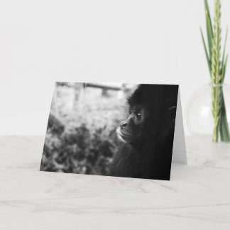 Monkey Card