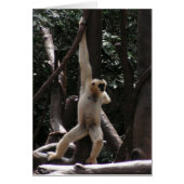 Monkey Card (Front)