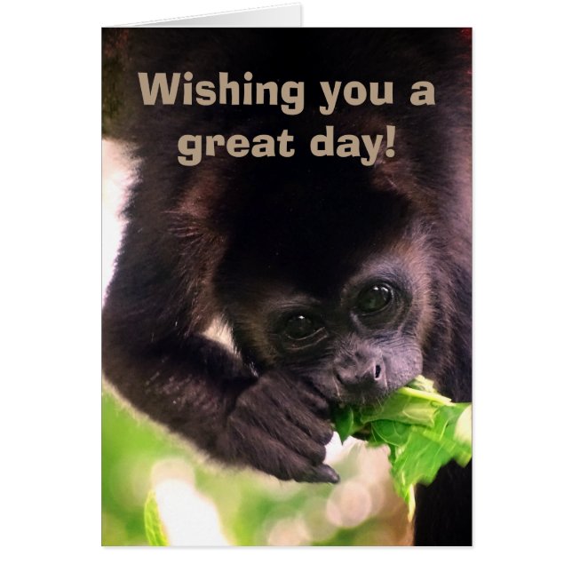 Monkey Cards (Front)