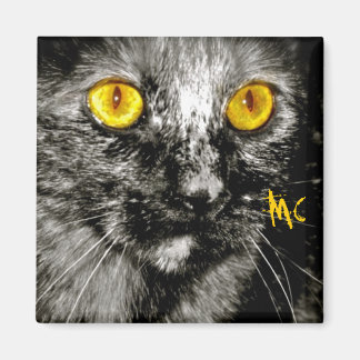 Monkey Cat Magnet