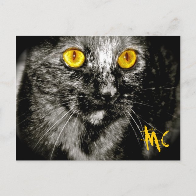 Monkey Cat Postcard (Front)