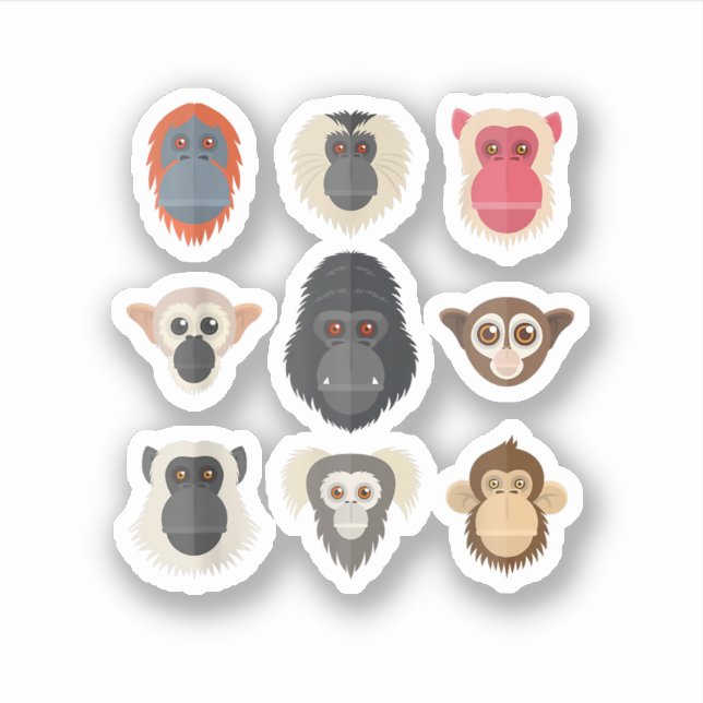 Monkey Chimpanzee Gorilla Spider Monkey Squirrel M Sticker (Front)