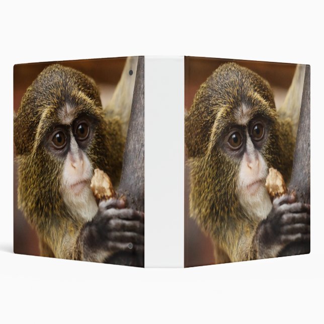 Monkey Climbing Tree Photo 3 Ring Binder (Background)