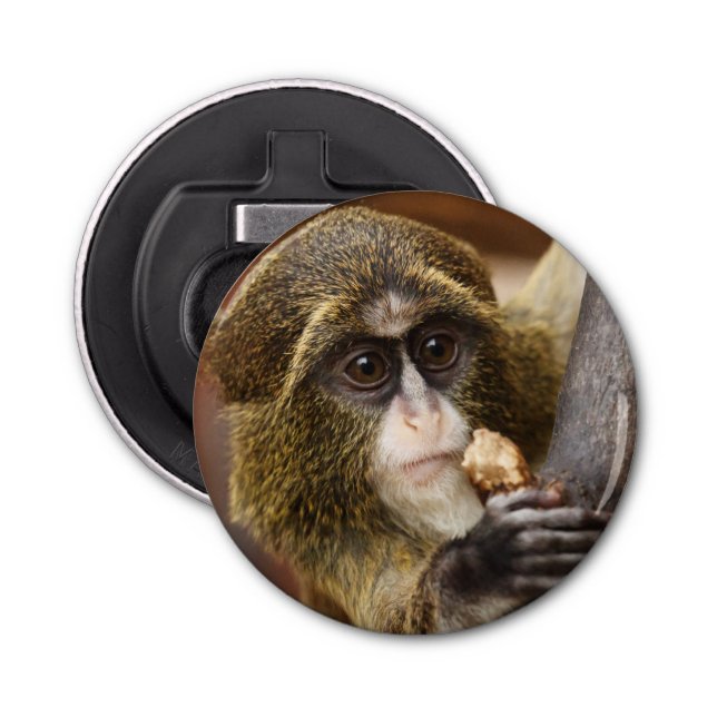 Monkey Climbing Tree Photo Bottle Opener (Front)