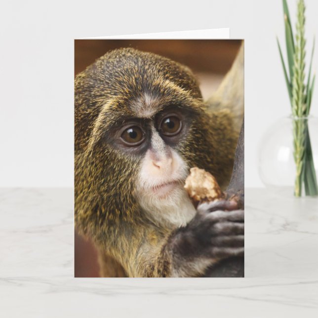 Monkey Climbing Tree Photo Card (Front)