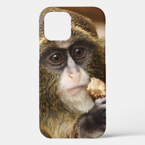 Monkey Climbing Tree Photo iPhone 12 Case