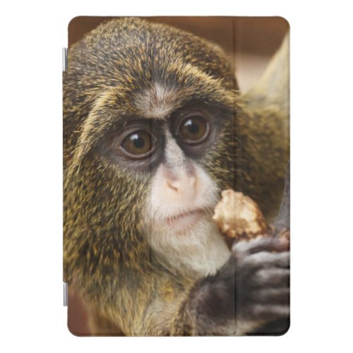 Monkey Climbing Tree Photo iPad Pro Cover