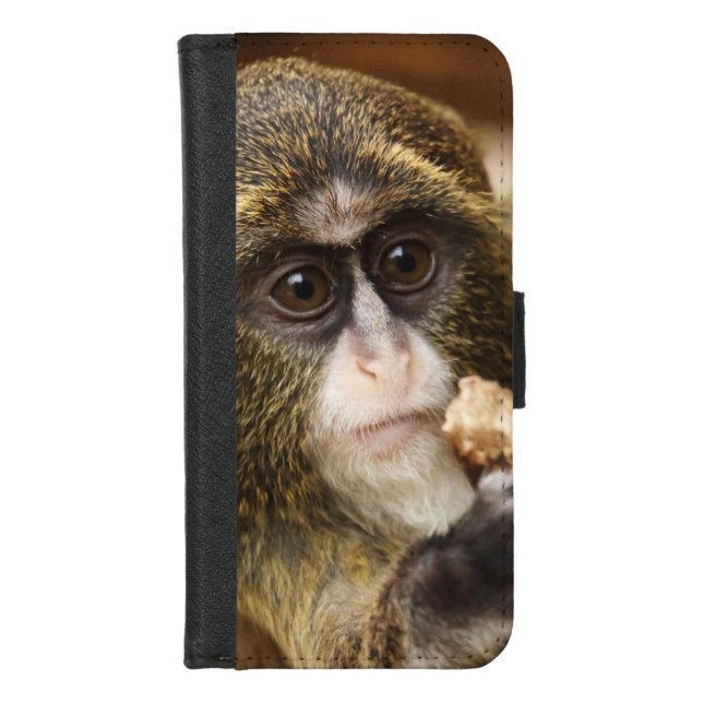 Monkey Climbing Tree Photo iPhone Wallet Case (Front)