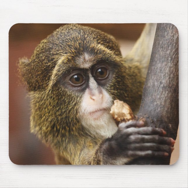 Monkey Climbing Tree Photo Mouse Pad (Front)