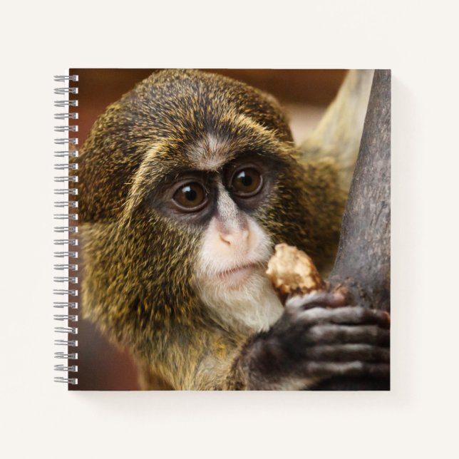 Monkey Climbing Tree Photo Notebook (Front)